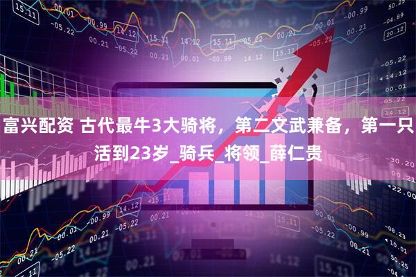 富兴配资 古代最牛3大骑将，第二文武兼备，第一只活到23岁_骑兵_将领_薛仁贵